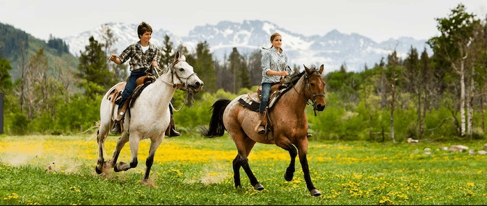 Confident plus-size woman riding Kingston upon Thames a horse through a field with a smile on her face.